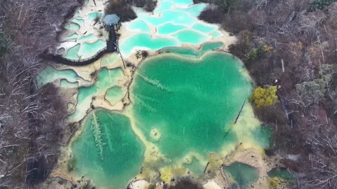Aerial View of Logs Submerged in Turquoise Lake and Calcification pool Stock Footage 332542014