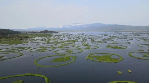 Aerial View of Loktak Lake Floating Islands Phumdis in Manipur India 스톡 동영상 330456341