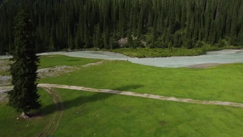 Aerial View of Lone Pine Tree and Tiny Human by Glacial River Stock Footage 332010366