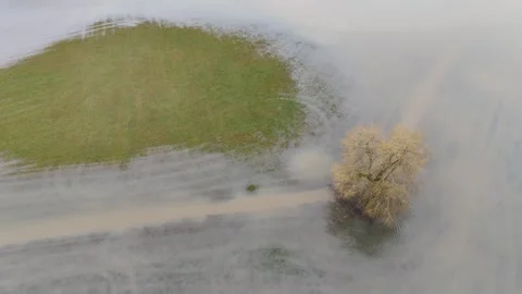 Aerial View of Lone Tree Surrounded by Floodwater in Rural Field Vídeos de archivo 328935261