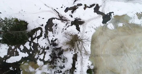 Aerial view lonely tree Stock Footage 73645372