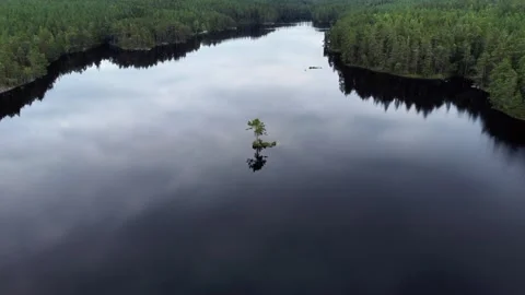 Aerial view of a lonely tree on a small island in Tiveden National Park, Swed Stock Footage 340879217