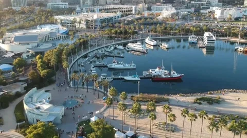 Aerial View of Long Beach Harbor, California, featuring boats, palm trees, .. Stock Footage 302309399