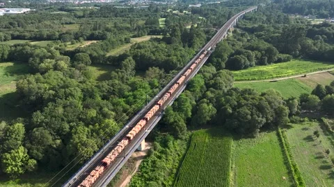 Aerial View Of Long Freight Train Passing By The Fields 動画素材 250005307