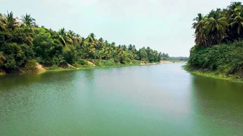 Aerial view of Long River among palm tre... | Stock Video | Pond5