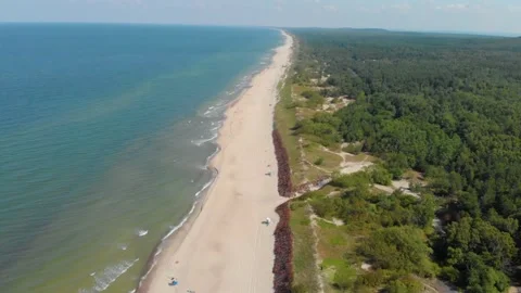 Aerial View of a Long Sandy Beach and Pine Forest along the Baltic Sea Coast in Stock Footage 321753657