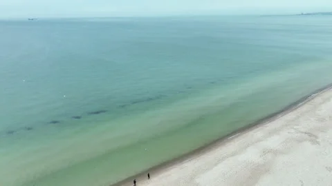 Aerial view of a long sandy beach running parallel to dense forest with people Video stock 321893788
