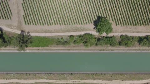 Aerial view of a long straight irrigation canal with vineyards on both sides and Stock Footage 337991499