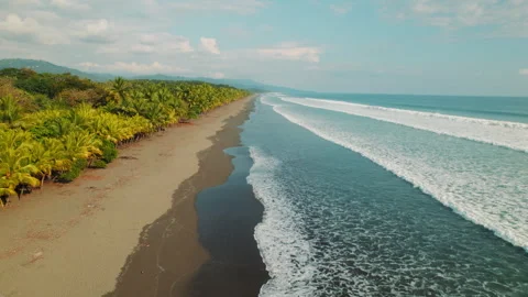 Aerial view of long tropical beach with palm trees and ocean in Costa Rica Video stock 342686726