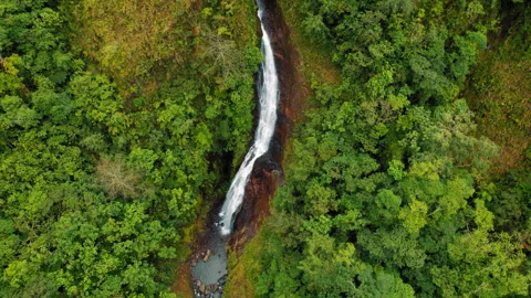 Aerial view of a long waterfall cutting through dense forest in Costa Rica Stock Footage 344775731