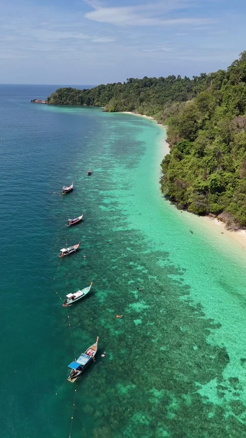 Aerial View of Longtail Boats Floating in Ko Kradan, Thailand Stock Footage 336007971