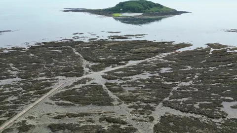 Aerial View of Looe River and Beach Town of England UK Stock Footage 313370542