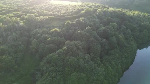 Aerial View of Looe River and Beach Town of England UK Stock Footage 317211665