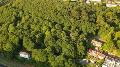 Aerial View of Looe River and Beach Town of England UK Stock-Footage 317213878