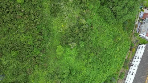 Aerial View of Looe River and Beach Town of England UK Stock-Footage 317215308