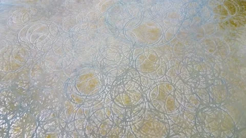 Aerial view look down circle shape at muddy land near coastal 動画素材 325831260