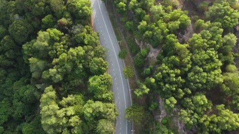 Aerial view look down winding road Stock Footage 149196401
