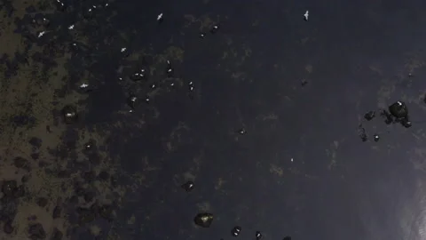 Aerial view looking down at birds flying across a body of water 스톡 동영상 139422913