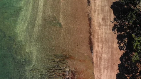 Aerial view looking down on clear water tree lined beach Stock Footage 115217348