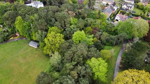 Aerial view looking down on to a cricket pitch bordered by colourful trees and a Stock Photos