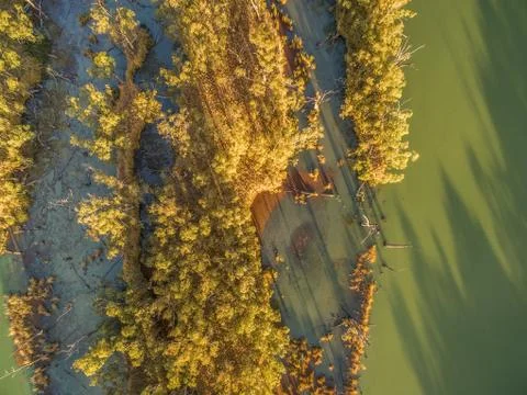 Aerial view - looking down at eucalyptus trees and Murray River at sunset Stock Photos