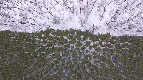 Aerial view looking down onto forest Stock Footage 44266795