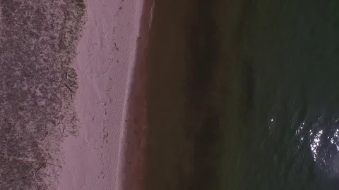 Aerial View Looking down of Lake Michigan Lakeshore Video stock 81911935