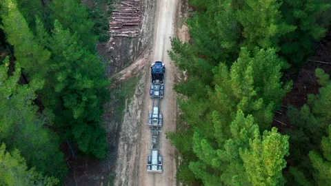Aerial view looking down at logging truck to pick up logs on forest road Stock Footage 172559238