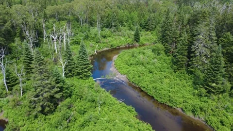 Aerial view looking down on a river curve flowing quietly through a lush forest. Stock Footage 315317501