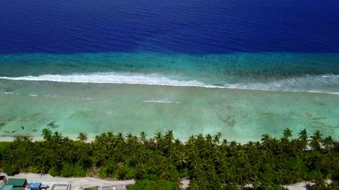 Aerial view, looking down at the shore of a tropical island. A forest of palm Stock Footage 154812389