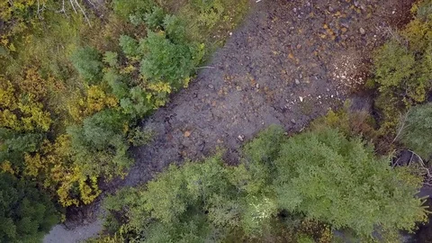 Aerial view looking down at small river in forest Stock Footage 82178414