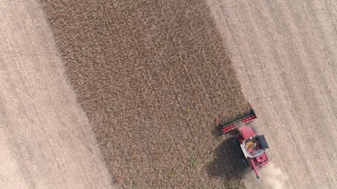 Aerial View Looking Down on Soybean Harvest in Wisconsin Video stock 92054358