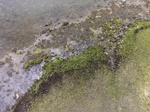 Aerial view looking straight down at the shoreline Foto stock