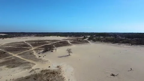 Aerial view of Loonse en Drunense Duinen sand dunes in The Netherlands. Video stock 221104013