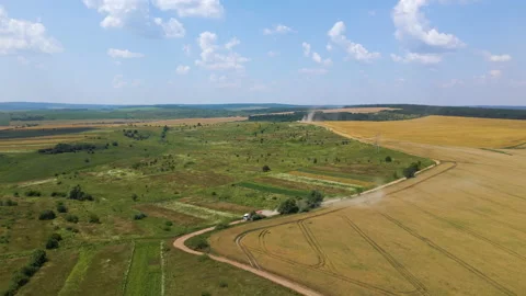 Aerial view of lorry cargo truck driving on dirt road between agricultural wheat 库存影片 168594853