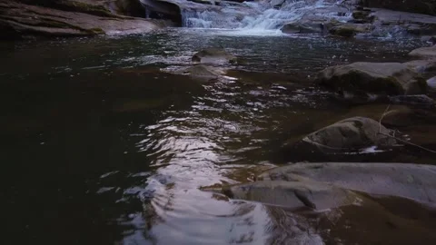 Aerial view low above the surface of the river in the forest Stock Footage 255165986