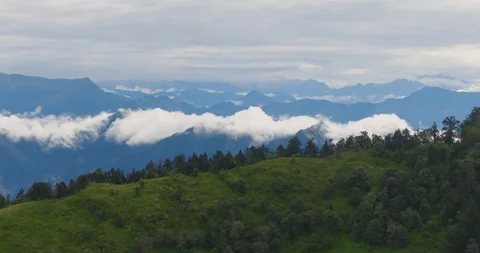 Aerial view of low cloud layer over pine forest and mountain ridges in Vídeos de archivo 346340575