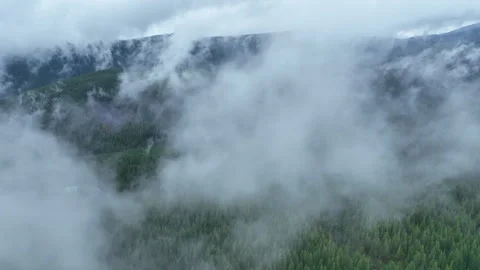 Aerial View of Low Clouds and Forested-Landscape in the Pacific Northwest Stock Footage 282842880