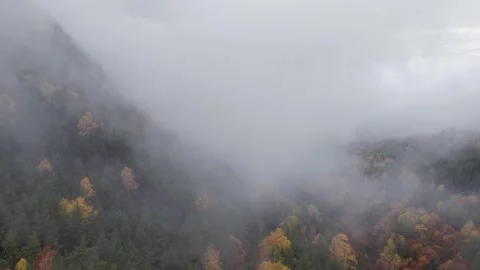 Aerial View of Low Clouds Over Mountain Trees Stock Footage 332924649
