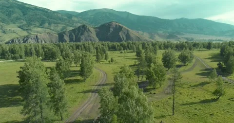 Aerial view. Low flight above evergreen pine tree landscape with endless Stock Footage 288936601