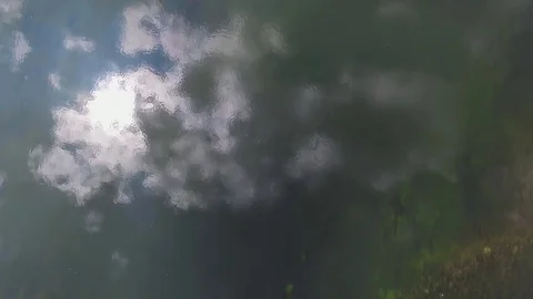 Aerial view. Low flight over fresh cold river at sunny summer morning. Video stock 82139873