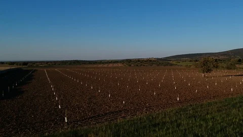 Aerial view low flying over field Video stock 107462919