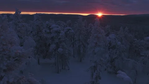 Aerial view low over snowy trees, winter sunrise in Pyhä-Luosto National Park Stock Footage 342030891