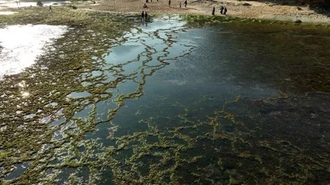Aerial View of Low tide Beach and Sea with Rocks in Jogja, Indonesia. Stock Footage 244964935