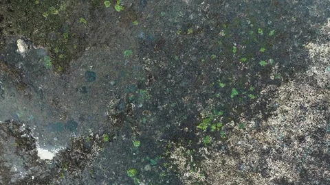 Aerial View of Low tide Beach and Sea with Rocks in Jogja, Indonesia. Stock Footage 244967705