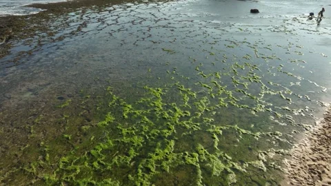Aerial View of Low tide Beach and Sea with Rocks in Jogja, Indonesia. Stock Footage 244967835