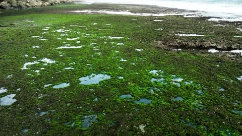 Aerial View of Low tide Beach and Sea with Rocks in Jogja, Indonesia. 스톡 동영상 244971922