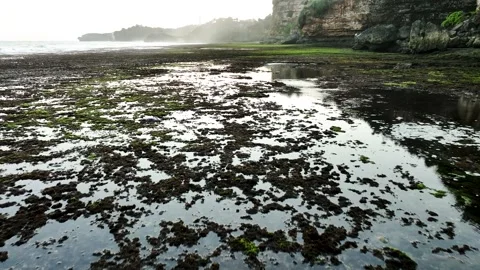 Aerial View of Low tide Beach and Sea with Rocks in Jogja, Indonesia. Stock Footage 244973130