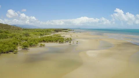 Aerial view on low tide, huge sand ocean bed and mangroves growing in Queensl Stock-Footage 102505153