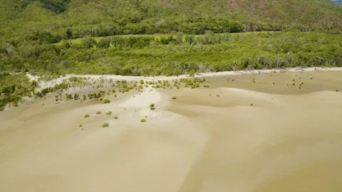 Aerial view on low tide, huge sand ocean bed and mangroves growing in Queensl 스톡 동영상 103844481